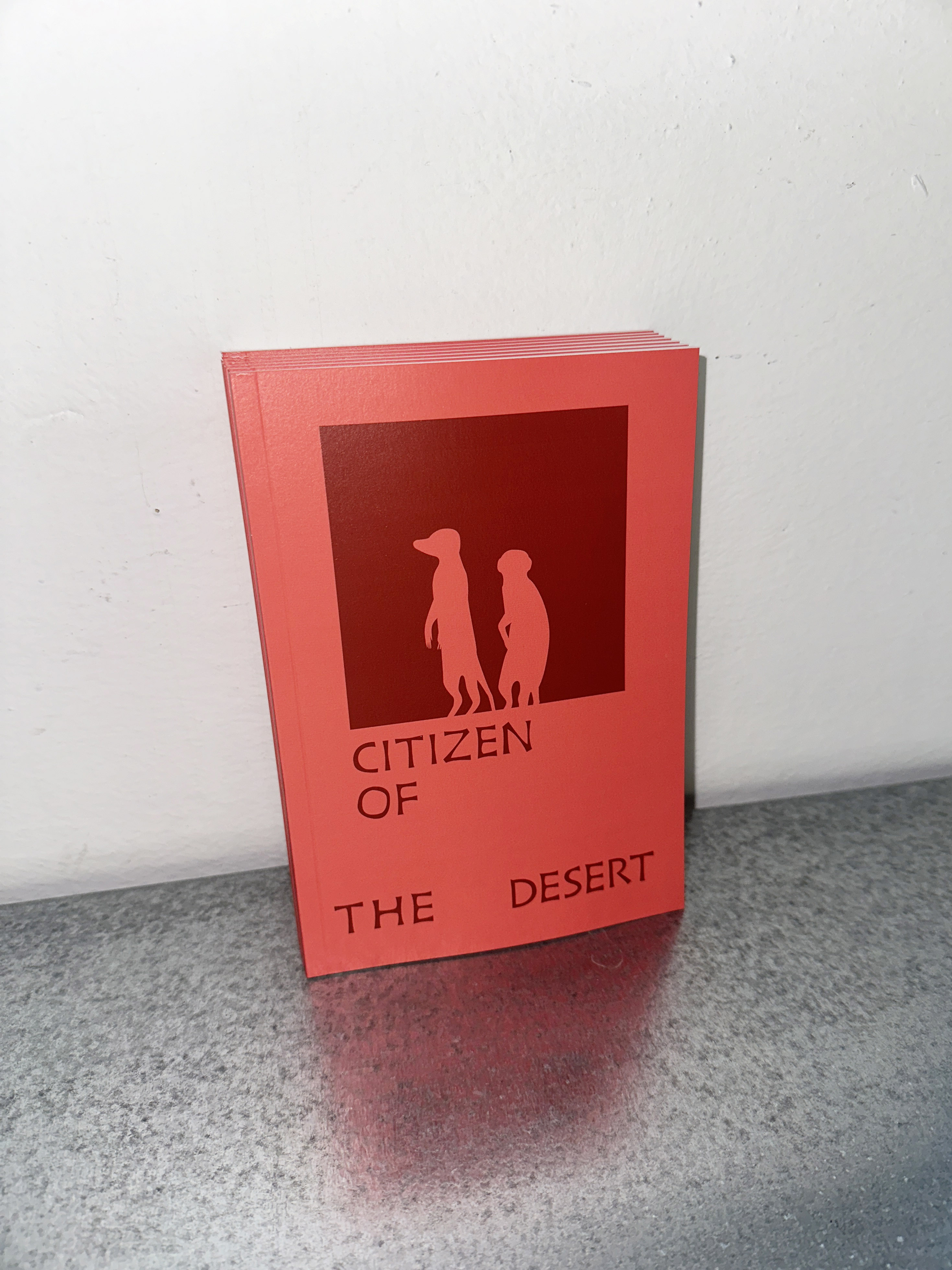 Citizen Note - Meerkat